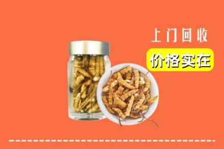 收购资讯:保定市唐市回收散虫草
