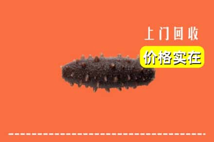 收购资讯:保定市唐市回收海参