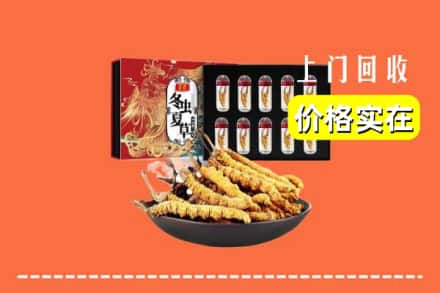 保定市唐市回收虫草